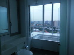 One Amber (D15), Condominium #116638312